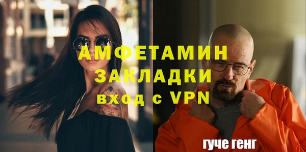 амф Дубна