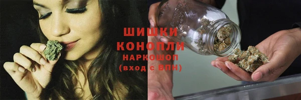 apvp Семилуки