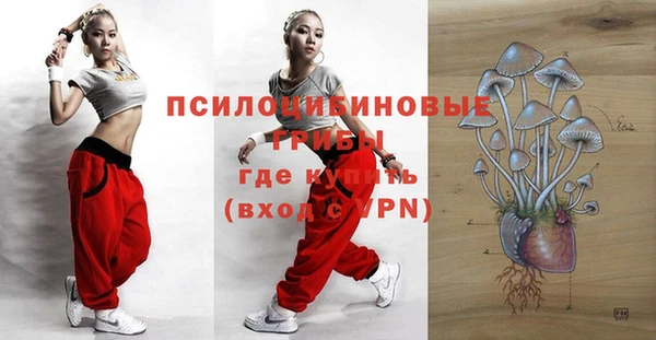 крисы Семёнов