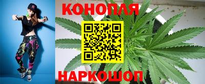 каннабис Новозыбков