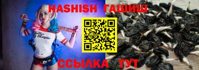 скорость Новодвинск