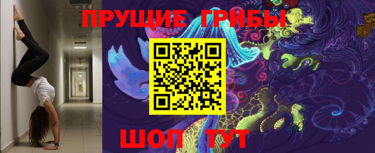 Псилоцибиновые грибы GOLDEN TEACHER  что такое   Ноябрьск  Вход с VPN 