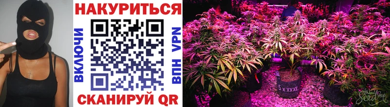 ОМГ ОМГ рабочий сайт  Ноябрьск  Бошки марихуана THC 21% 